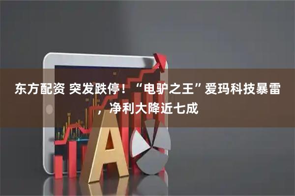 东方配资 突发跌停！“电驴之王”爱玛科技暴雷，净利大降近七成